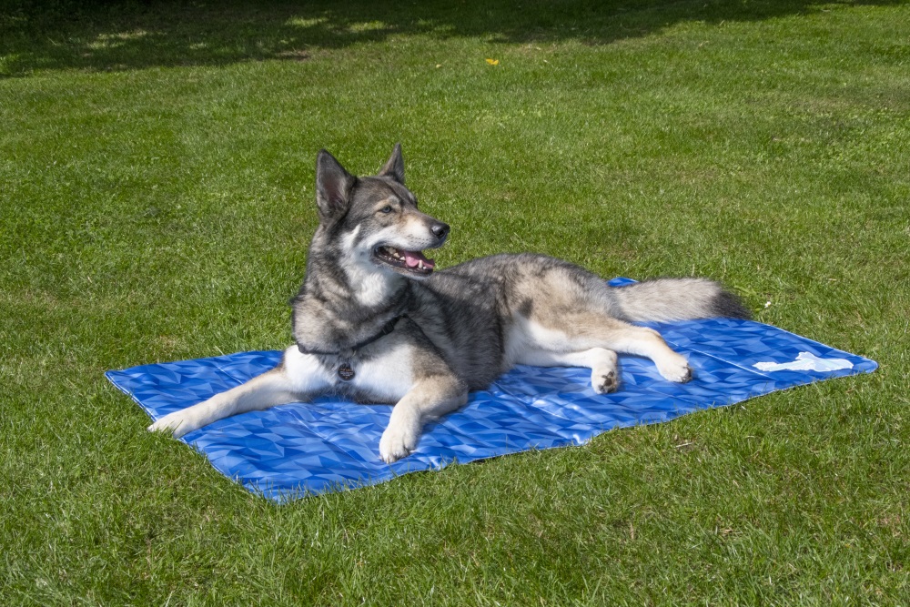 Jahutusvahend Coolpets matt XL (120x75cm)