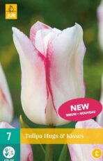 Tulp ‘Hugs and Kisses’ 7tk