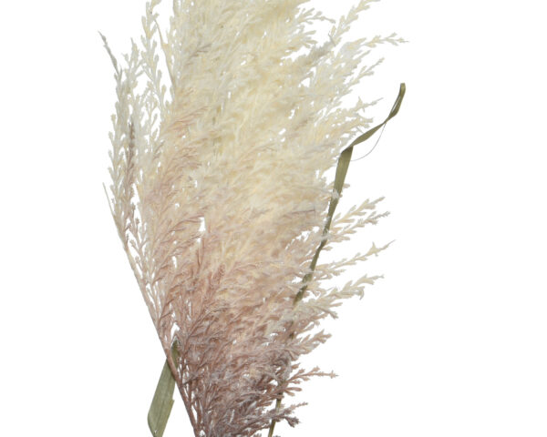 Kõrreline Pampas 22x6x102cm kreem