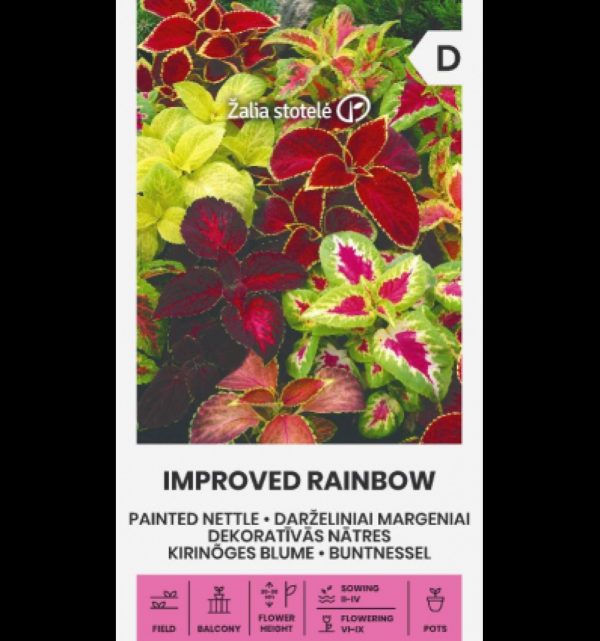 Kirinõges 'Painted Nettle Improved Rainbow'