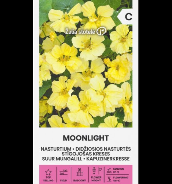 Mungalill 'Nasturtium Moonlight'