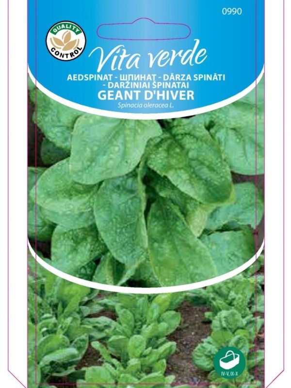 Spinat 'Geant D'Hiver'