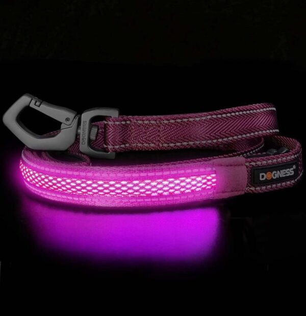 LED jalutusrihm Dogness M/L lilla