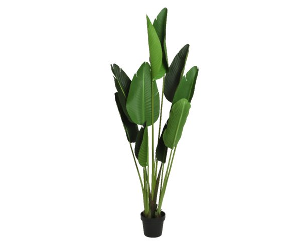 Kunsttaim Strelitzia potis 150cm roheline