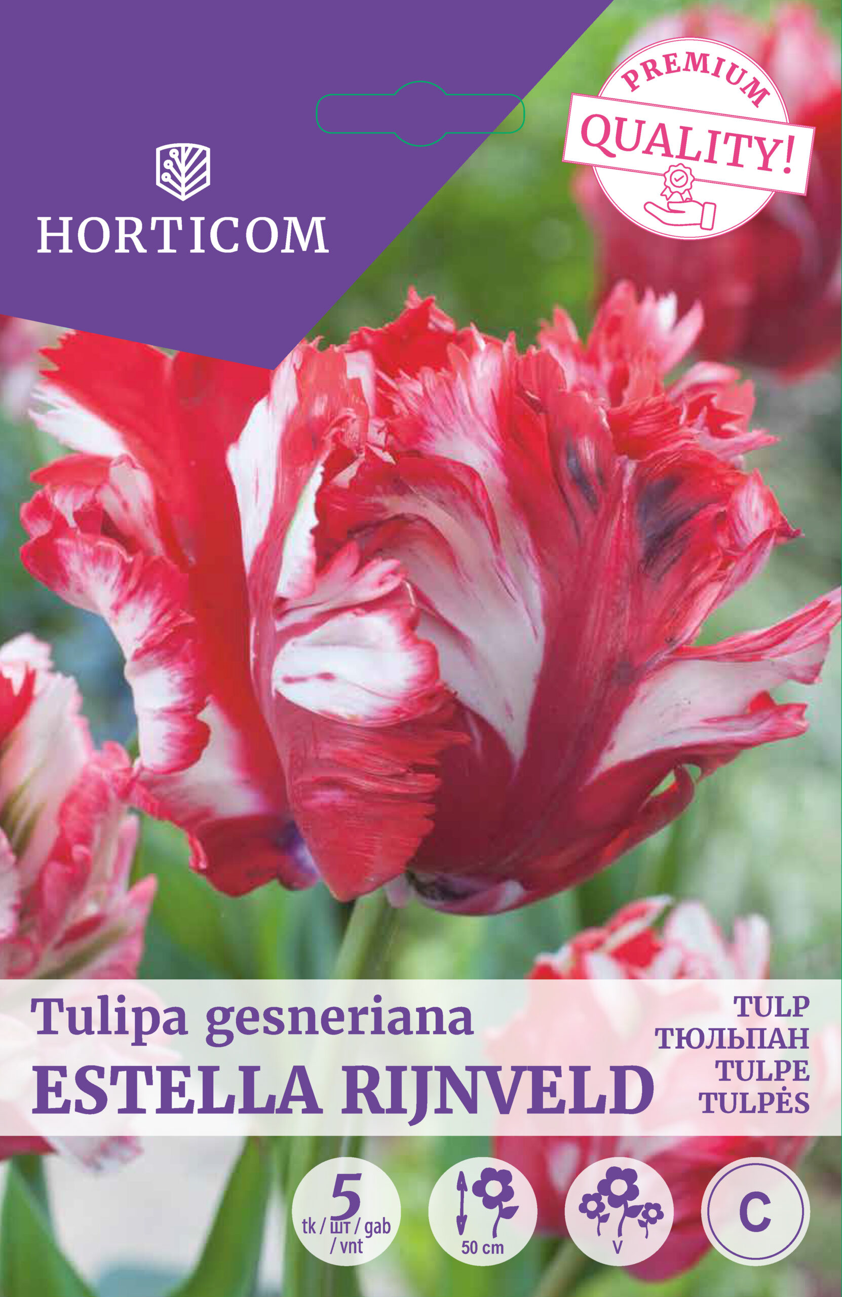 Tulp ‘Estella Rijnveld’ 5tk