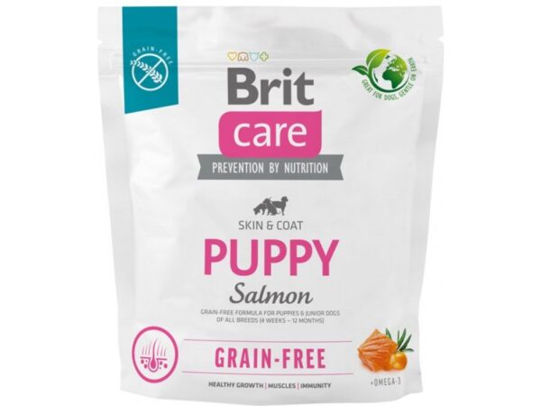 Brit Care koeratoit GF Puppy Salmon 1kg