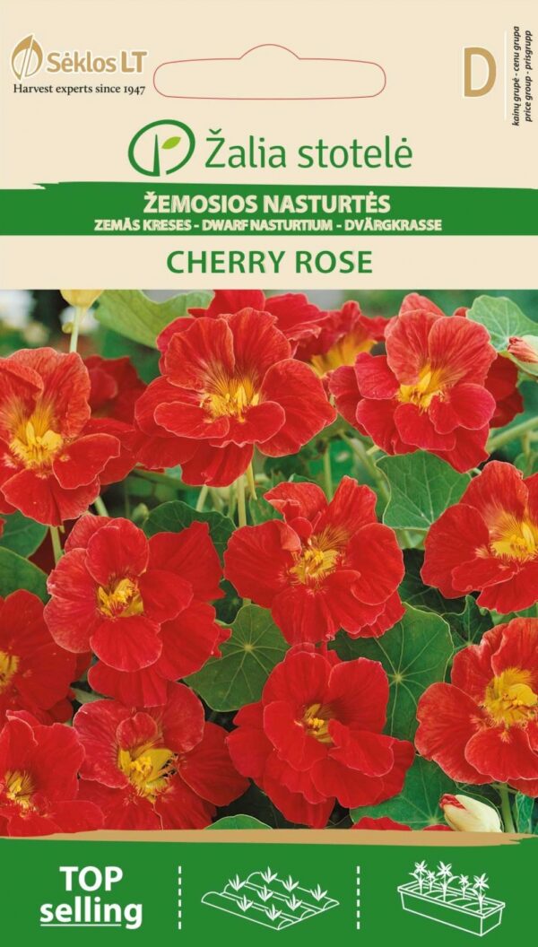 Mungalill 'Cherry Rose'