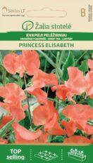 Lillhernes ‘Princess Elizabeth’