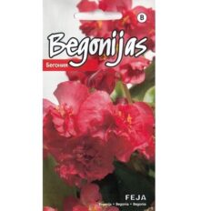 Alatiõitsev begoonia ‘Feja’ F1 15s