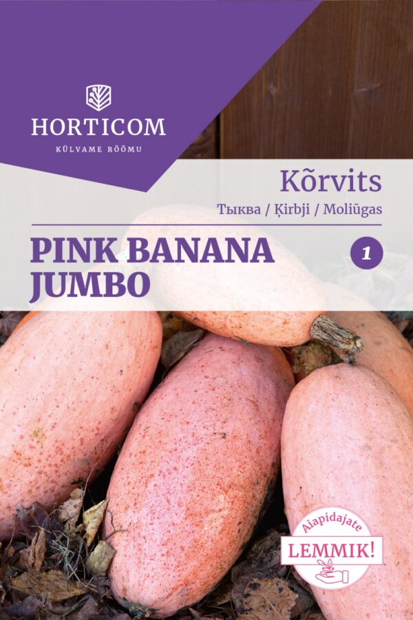 Banaankõrvits 'Pink Banana Jumbo' 10s