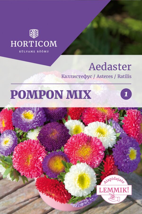 Aedaster seemnesegu 'Pompon' 1g