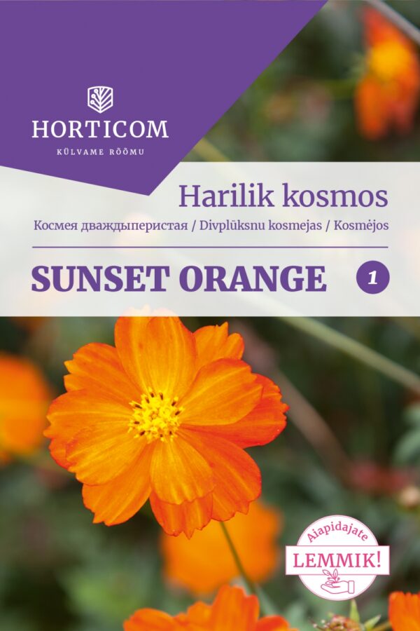 Harilik kosmos 'Sunset Orange' 1g