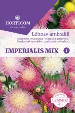 Lõhnav ambralill (lõhnav muskusjumikas) 1g