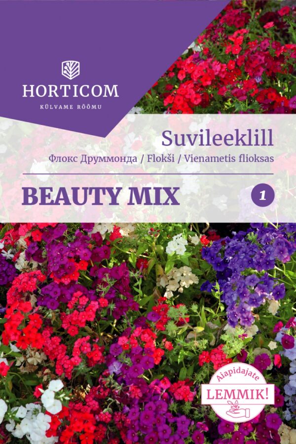 Suvi-leeklill seemnesegu 'Beauty' 1g