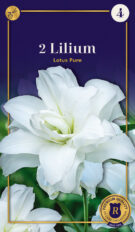 Liilia ‘Lotus Pure’ 2tk