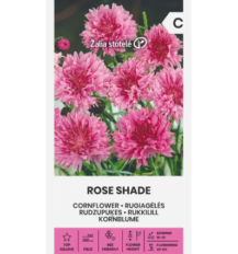 Rukkilill ‘Rose Shade’