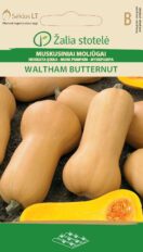 Muskaatkõrvits ‘Waltham Butternut’