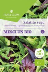 Kirju salatisegu Mesclun 2g BIO