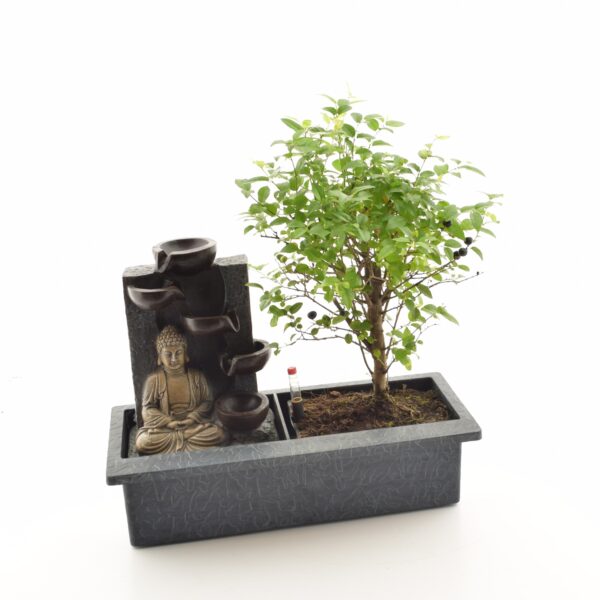 Bonsai purskkaevuga ümbrispotis