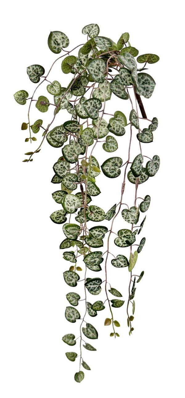 Kunsttaim Ceropegia rippuv 50cm roheline/hall