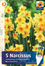 Nartsiss ‘Martinette’ 5tk