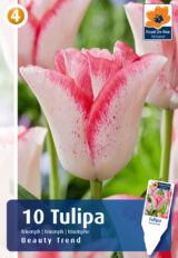 Tulp ‘Beauty Trend’ 10tk