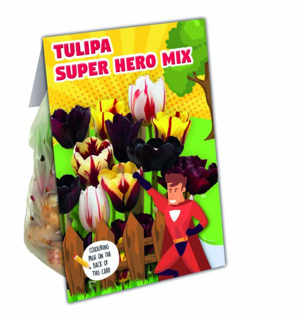 Kinkepakend superkangelase tulp 10tk