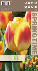 Tulp ‘Brigitta’ 8tk