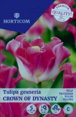 Tulp ‘Crown of Dynasty’ 5tk