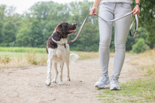 Jalutusrihm Parinca premium 180x2,5cm h.hall