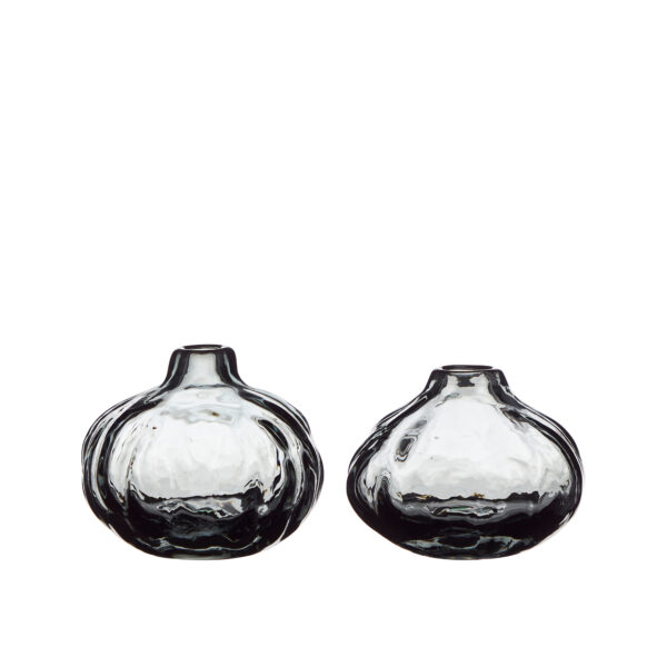 Vaas Vidia mix 10x8cm