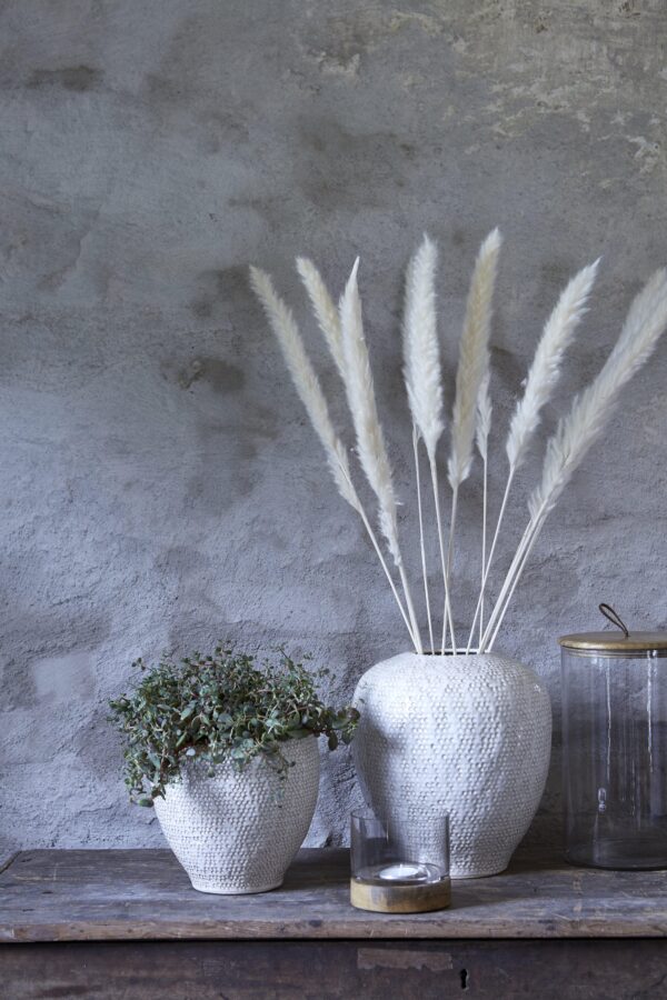 Hoiupurk Kuta 12x10cm puidust kaanega