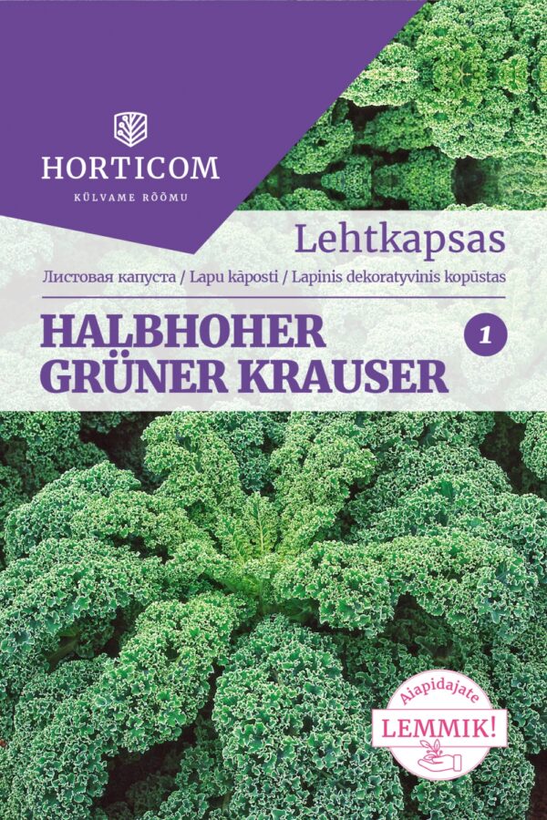 Lehtkapsas 'Halbhoher Grüner Krauser' 50s