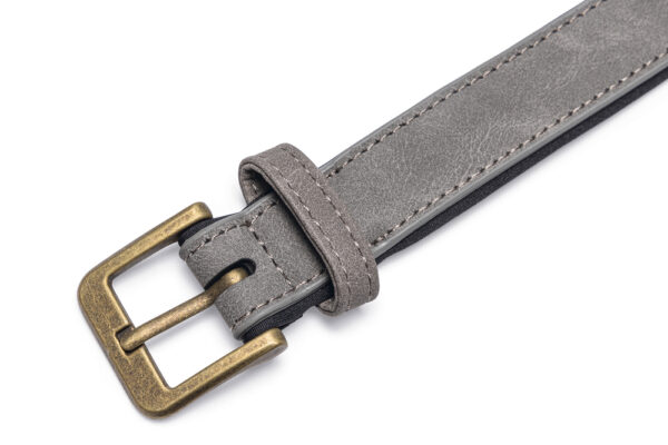 Kaelarihm Beeztees koerale AX 43-53x2,5cm hall