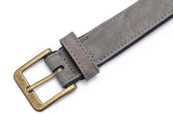 Kaelarihm Beeztees koerale AX 47-57x3cm hall