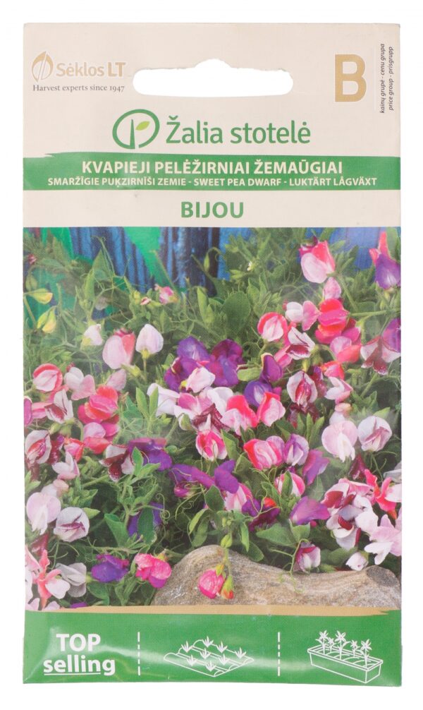 Lillhernes 'Bijou mix'