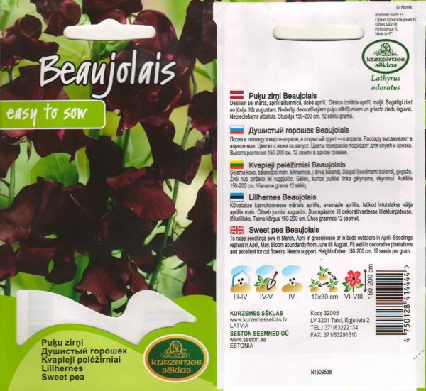 Lillhernes 'Beaujolais' 2g