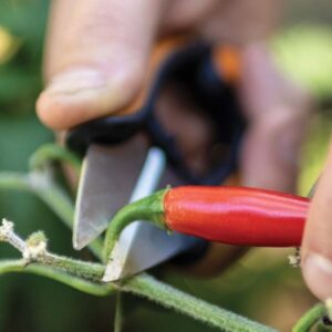 Ürdikäärid Solid SP220 Fiskars