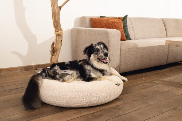 Pesa memoryfoam JAXX beez 60