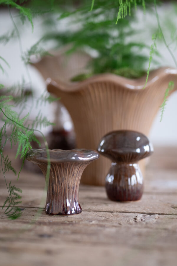 Deko seened mix keraamiline, pruun
