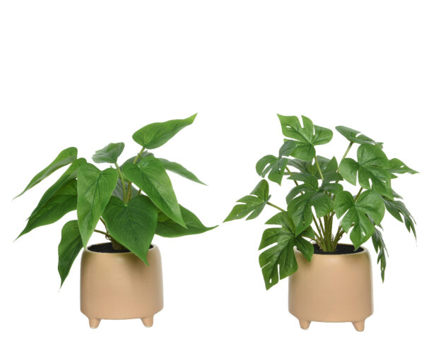 Kunsttaim 11,5x11,5x28cm potis roheline, erinevad