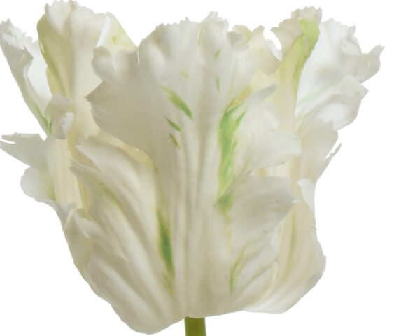 Kunstlill tulp 13x10x68cm valge