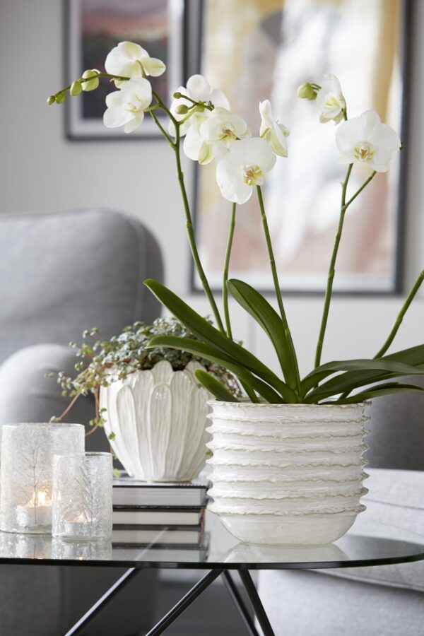 Lillepott Vally 16x13cm valge