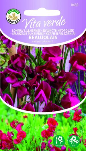 Lillhernes ‘Beaujolais’