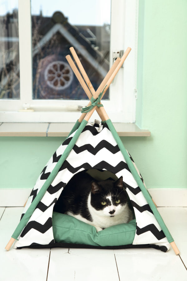 Pesa Beeztees Kioni 50x50x h70cm roheline