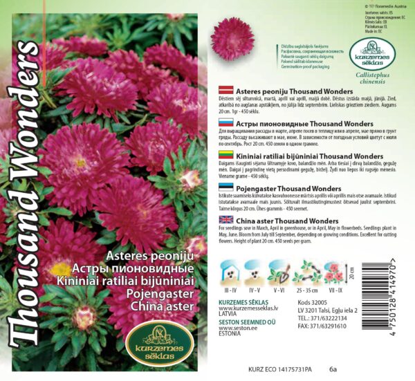 Aedaster 'Thousand Wonders Red'