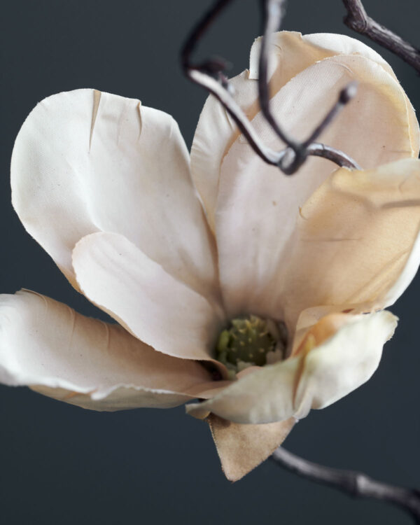 Kunstlill Magnoolia 85cm beež