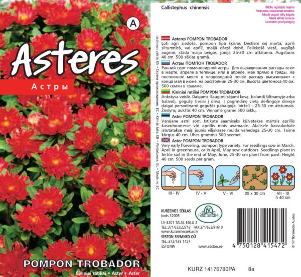 Aedaster 'Trobador Red'
