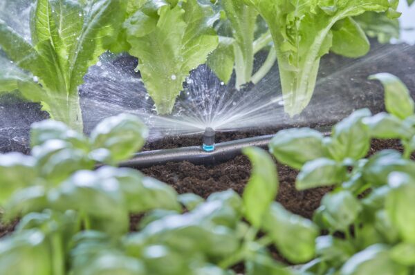 Pihustusotsik Gardena MDS 180° 5tk