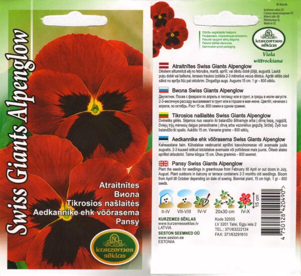 Võõrasema 'Swiss Giants Alpenglow'